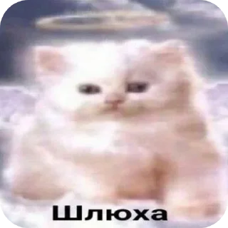 🤲 emoji Фокки Telegram sticker 17 of 17