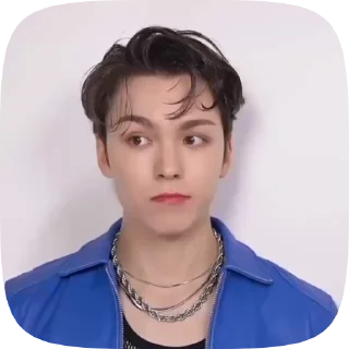 🤨 emoji севентін by svt.ua.carats💙💛 Telegram sticker 13 of 49