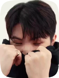 🥰 emoji севентін by svt.ua.carats💙💛 Telegram sticker 19 of 49