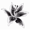 🫲 emoji random aesthetic @TgEmojiBot Telegram sticker 22 of 200