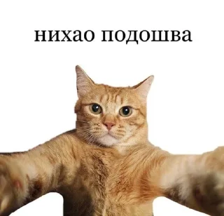 Sticker from Жиза