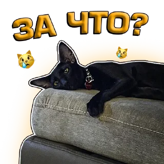 😿 emoji Кочевник by @official_bulkin_fan Telegram sticker 23 of 119
