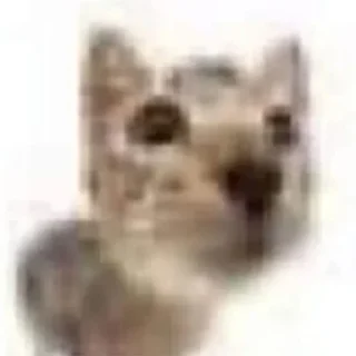 😼 emoji пак от афы/ли Telegram sticker 12 of 66