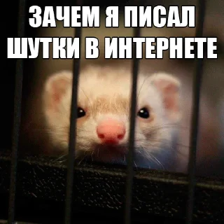 🤐 emoji @citatyanimal Хорьки Telegram sticker 22 of 31