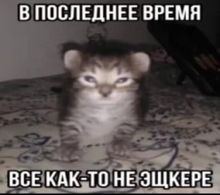Sticker from Шиза Абобы228 :: @Aboba228_011 @fStikBot