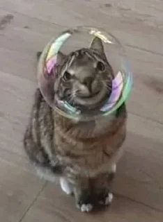 🌟 emoji мемные котики Telegram sticker 9 of 15