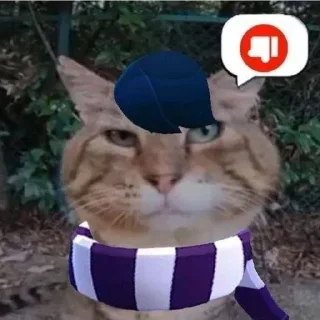 🌟 emoji мемные котики Telegram sticker 7 of 15