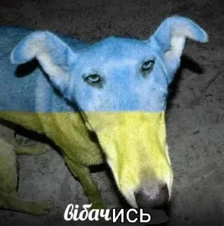 😡 emoji Українськи меми Telegram sticker 17 of 93