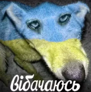 🥺 emoji Українськи меми Telegram sticker 18 of 93