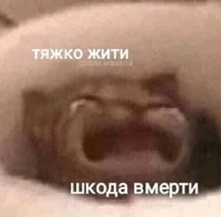 Sticker from Юкрейніан стікери🥰🥵