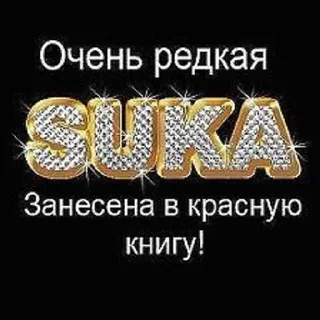 Sticker from не стерва
