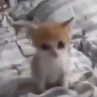 😳 emoji Рандом картинки с моей галереи Telegram sticker 20 of 80