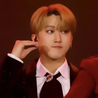 📸 emoji #. changbin [ @misakostickers ] Telegram sticker 22 of 30