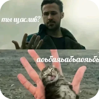 ✋ emoji Котики Telegram sticker 5 of 120