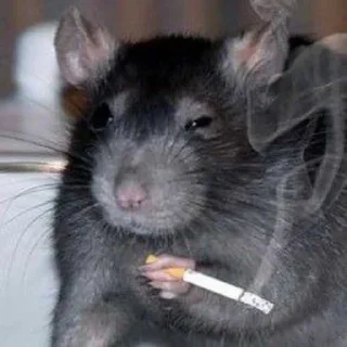 🚬 emoji шизофрения Telegram sticker 16 of 33