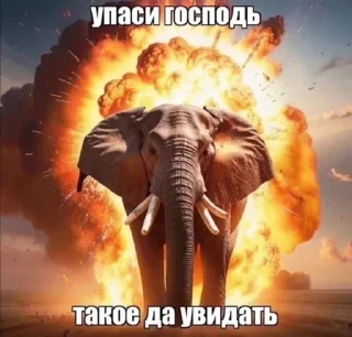 🌟 emoji Леймпак Telegram sticker 14 of 95