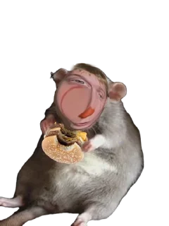 🐭 emoji mr_morj Telegram sticker 2 of 25