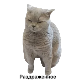 🫥 emoji Глоцке и Стецке Telegram sticker 22 of 89