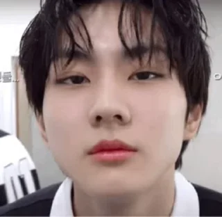 🐱 emoji jungwonii(>ω^) Telegram sticker 21 of 48