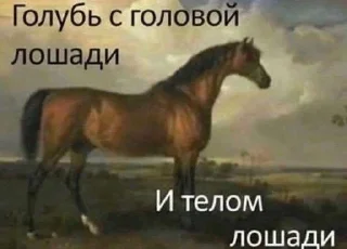 🌟 emoji Жывотные Telegram sticker 5 of 52