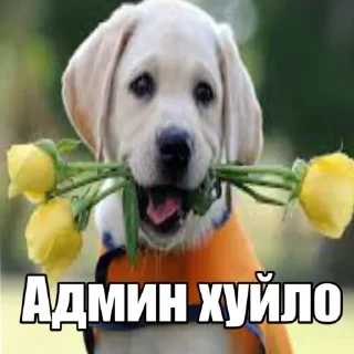 ❤️ emoji Ебанулся на голову Telegram sticker 18 of 20