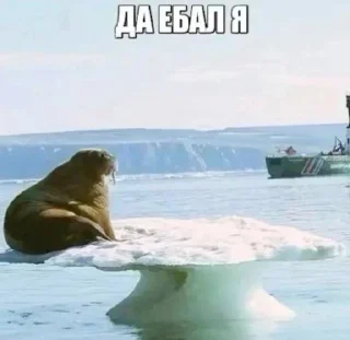 🌟 emoji Жывотные Telegram sticker 21 of 52