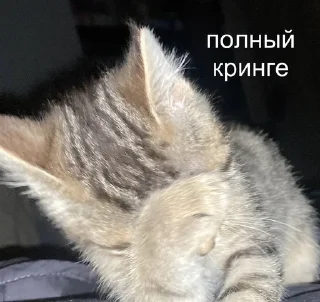 Sticker from Буся