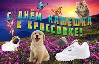 🌟 emoji С днем дня Telegram sticker 22 of 51