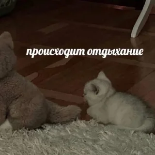 🌟 emoji Ворк ворк :: @iewooow Telegram sticker 21 of 51