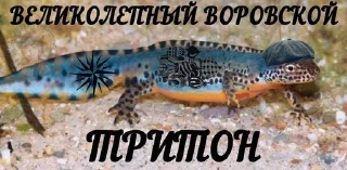 🙄 emoji @neblagUwUdnaya эдишн Telegram sticker 24 of 92