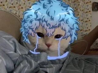 🥄 emoji Токийские коты Telegram sticker 23 of 43