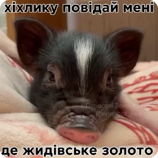 😩 emoji рандом3 @shashluchokstickers Telegram sticker 24 of 45