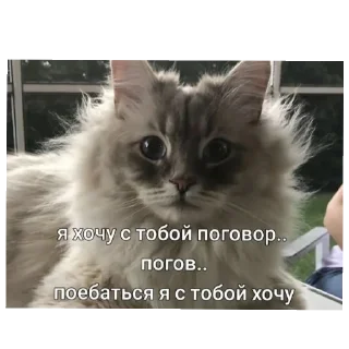 😏 emoji Сегодня... Telegram sticker 14 of 18