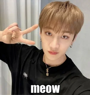 🌟 emoji channie lol Telegram sticker 19 of 27