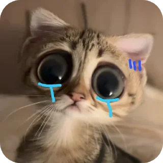 😭 emoji 🫶🫶🫶 Telegram sticker 21 of 52