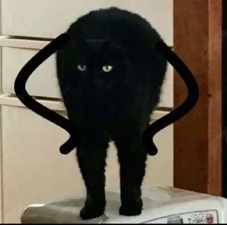 🤨 emoji котікіі Telegram sticker 18 of 33