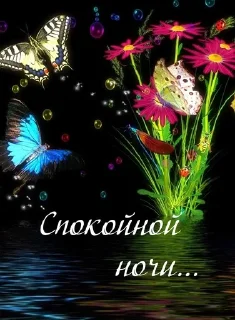 🌙 emoji Доброй ночи Telegram sticker 18 of 43