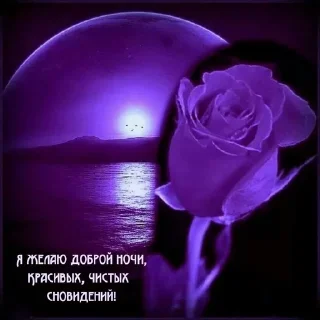 🌙 emoji Доброй ночи Telegram sticker 3 of 43