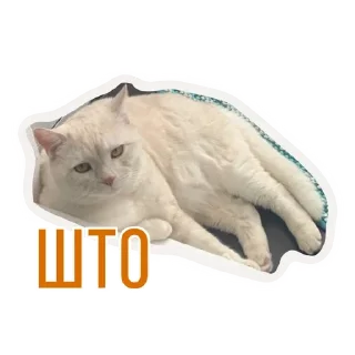 🌟 emoji Бусенки Telegram sticker 12 of 51