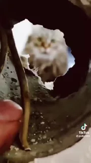😳 emoji Плохого человека Настей назовут Telegram sticker 6 of 38