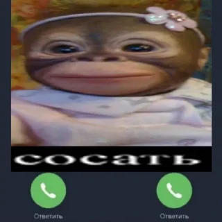 🤓 emoji шутки приколы vol. 3 REBORN by @rap_tusovka Telegram sticker 12 of 97