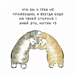 🌟 emoji милые пикчи-@kichkap Telegram sticker 19 of 50
