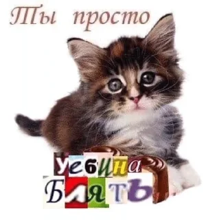 🌟 emoji матные котеке Telegram sticker 5 of 29