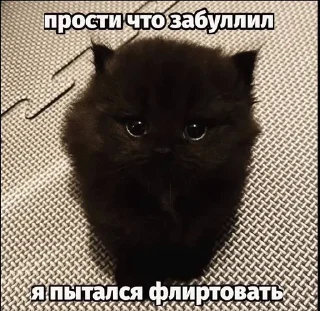 🌟 emoji матные котеке Telegram sticker 23 of 29