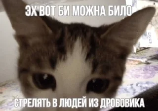 🌟 emoji матные котеке Telegram sticker 21 of 29