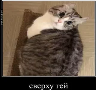 🌟 emoji Стикеры 👉 @animokubot Telegram sticker 5 of 45