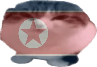 🇰🇵 emoji странокоты Telegram sticker 21 of 66