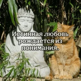 🌟 emoji Буддаᥫ᭡ Telegram sticker 13 of 50