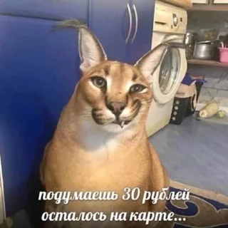 🤑 emoji кпоп кекес муд Telegram sticker 24 of 120