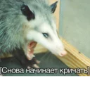 🤫 emoji Ох уж эти опоссумы @gogdnota Telegram sticker 20 of 45